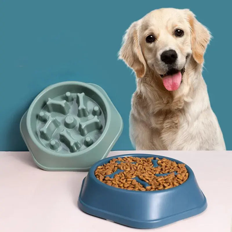 Slow Feeder Pet Bowl for Healthy Eating