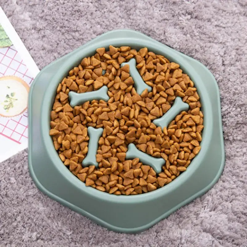 Slow Feeder Pet Bowl for Healthy Eating