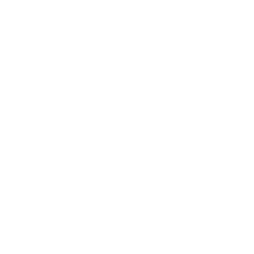 Pet Joys