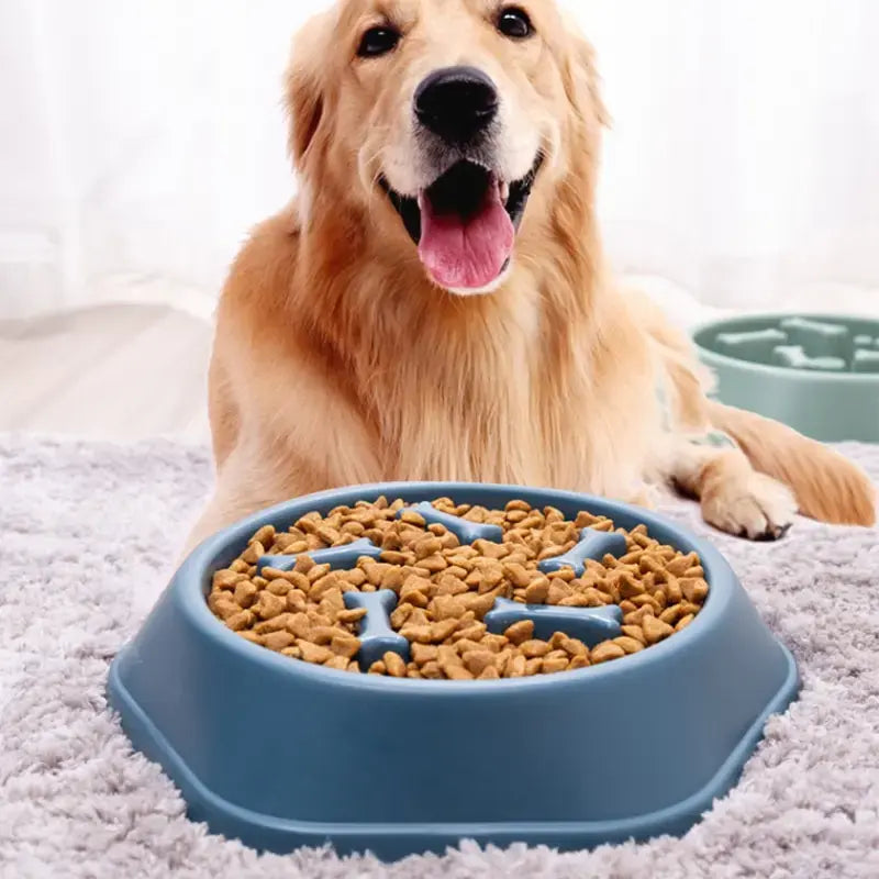 Slow Feeder Pet Bowl for Healthy Eating